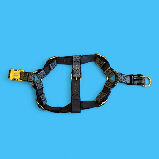 Pawcci harness bearsupreme