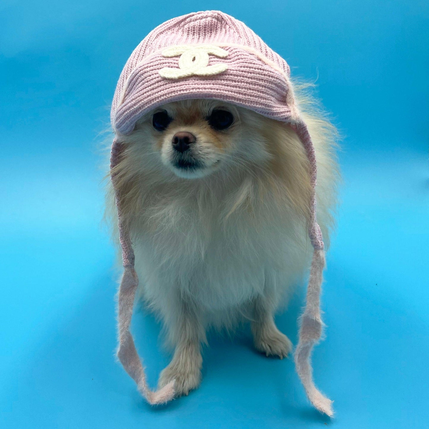 Pawnel Knitted Hat Pink - bearsupreme