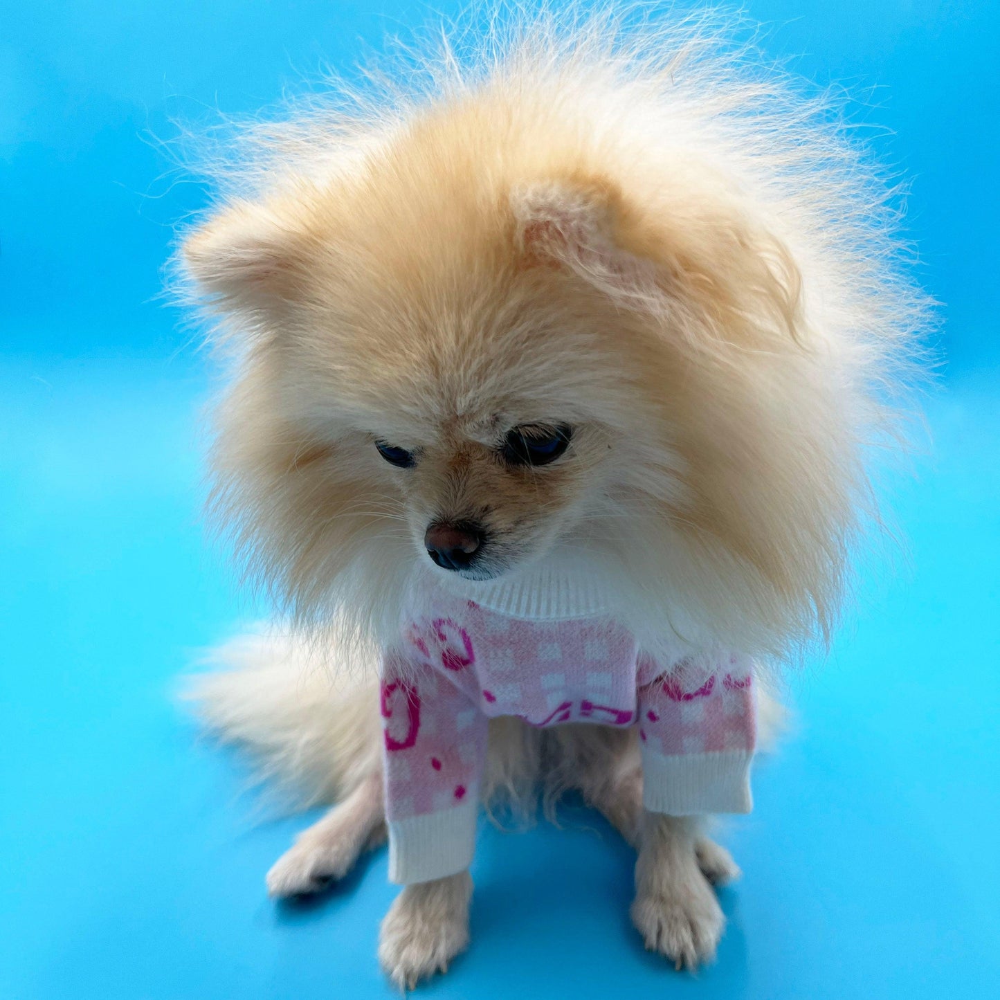 Pawcci Monogram Pink Sweater - bearsupreme