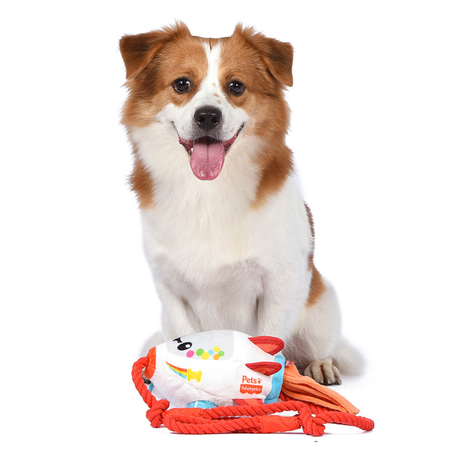 Fisher Price Pull Along Rocket Drag N'Tug Puppy Toy bearsupreme