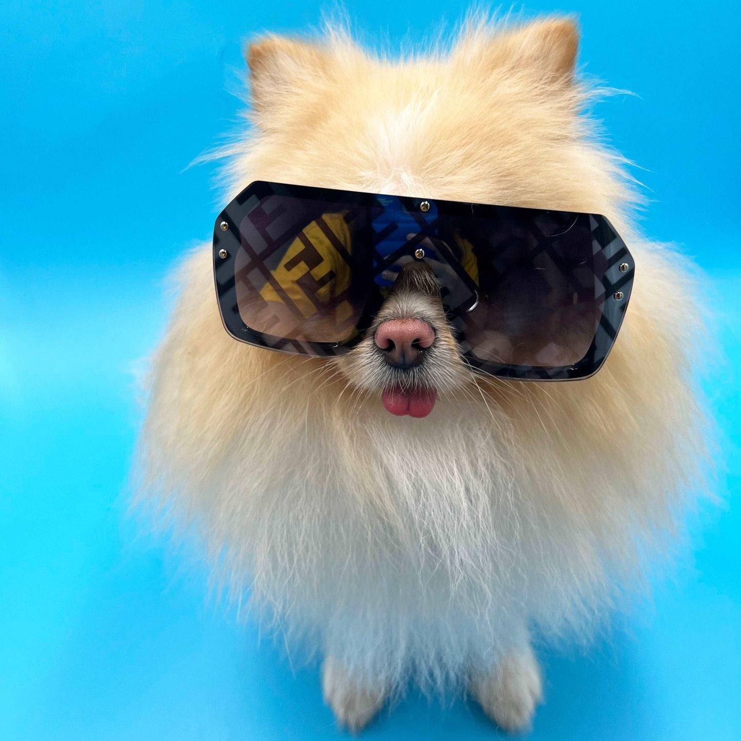 Furdi Inspired sunnies - bearsupreme