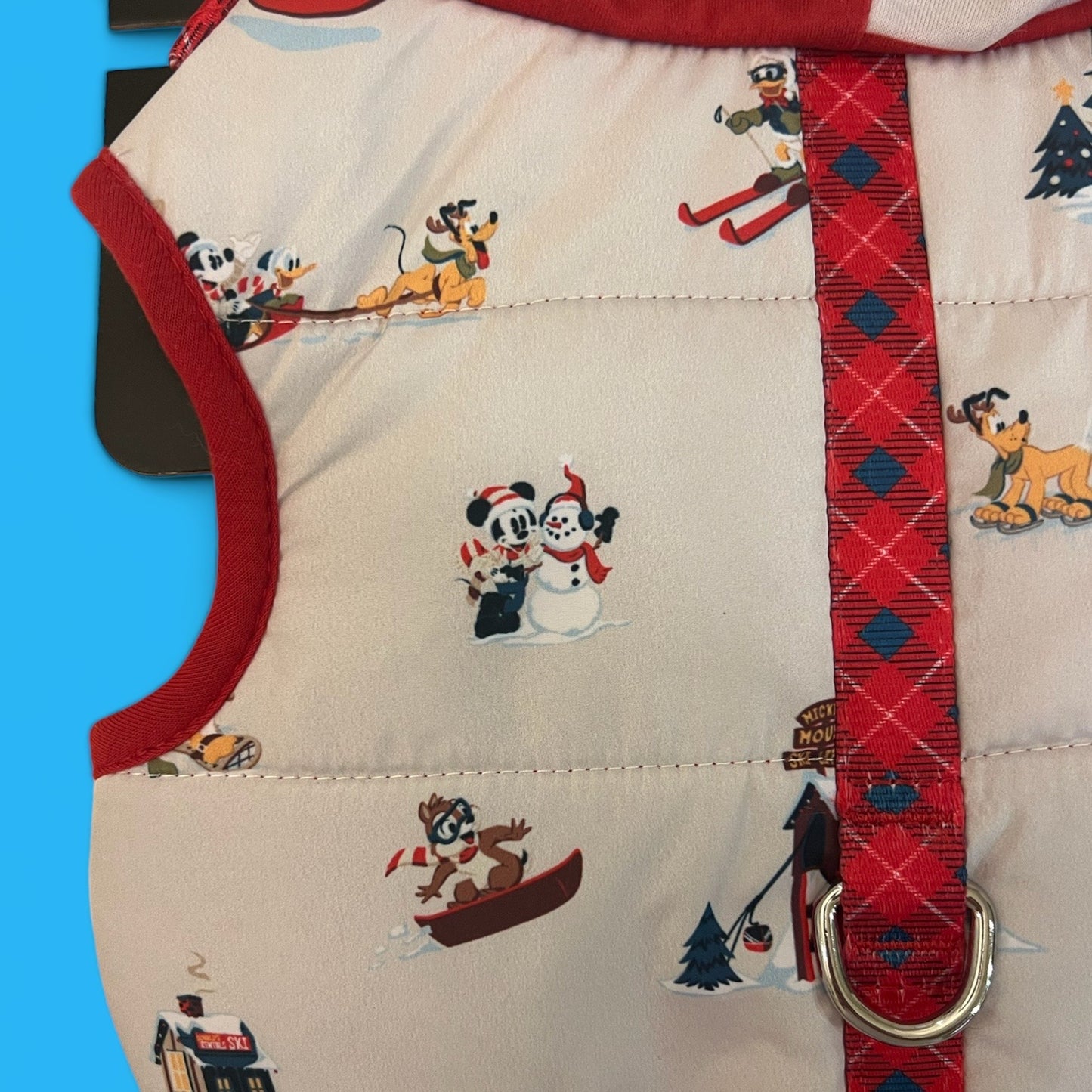 Disney Winter Harness & Hoodie bearsupreme