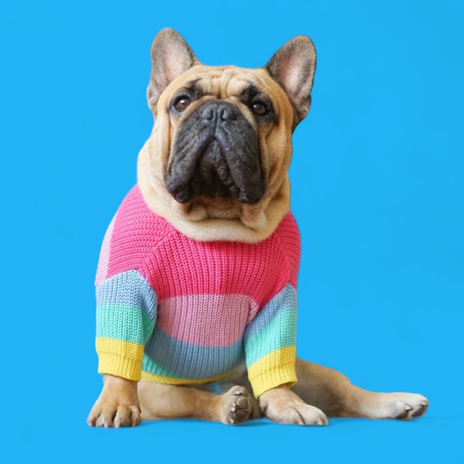 Rainbow Baby Sweater bearsupreme