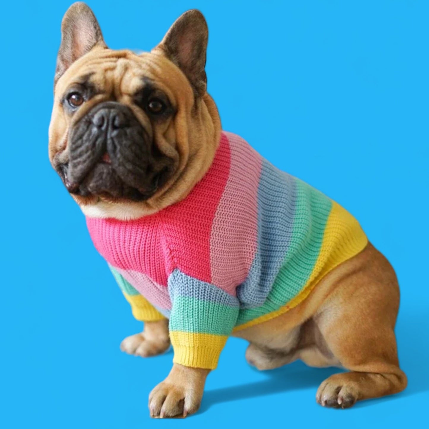 Rainbow Baby Sweater bearsupreme