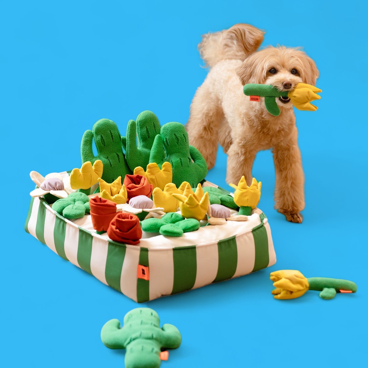 Snuffle Garden Dog Toy bearsupreme