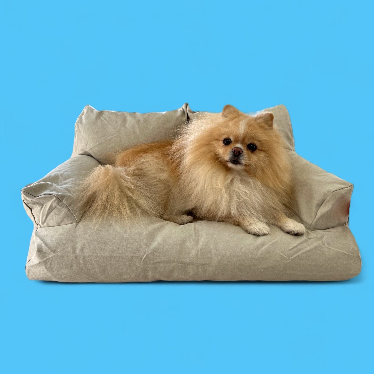 Beige Bed Dog Lounger bearsupreme