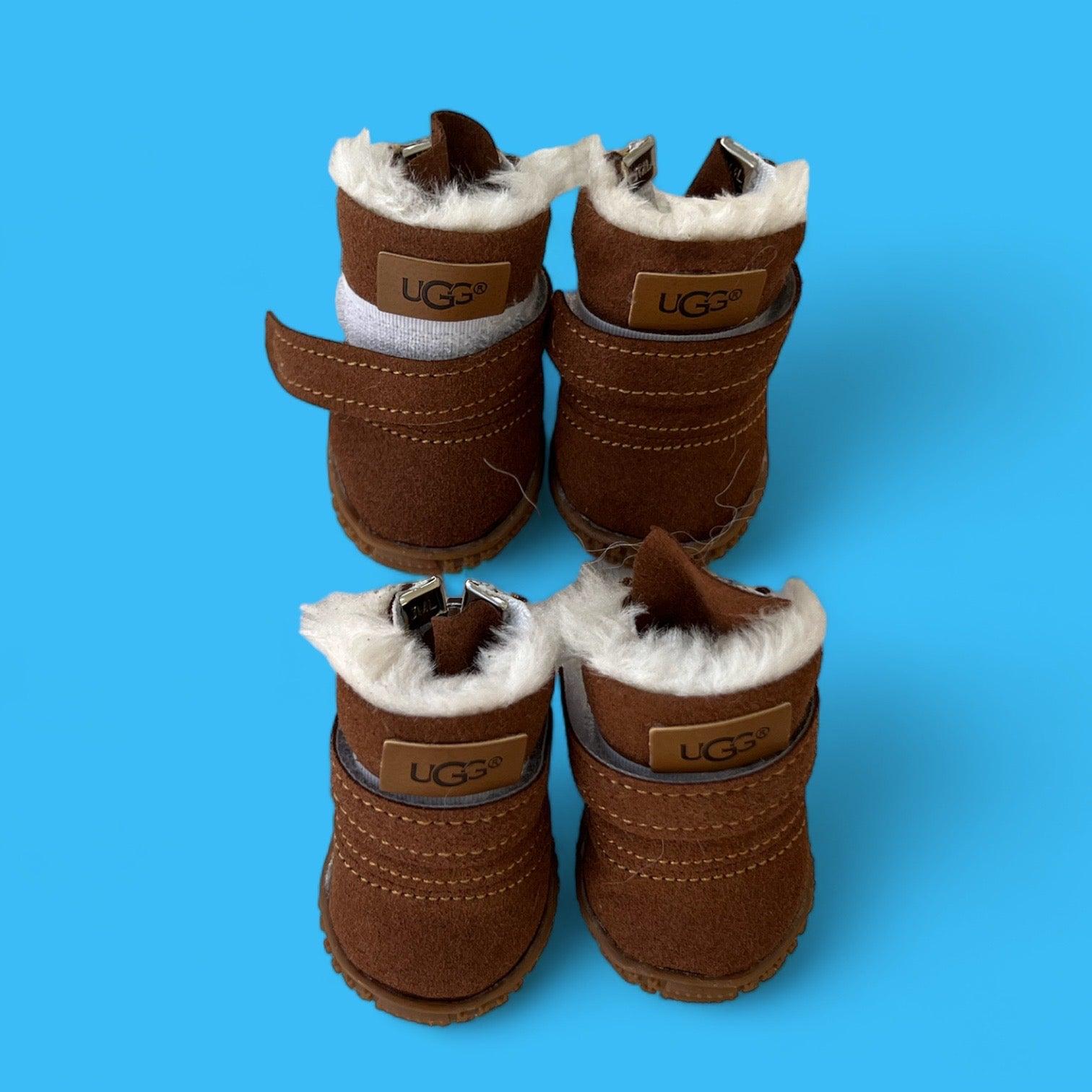 Pugg Sweater Set - bearsupreme