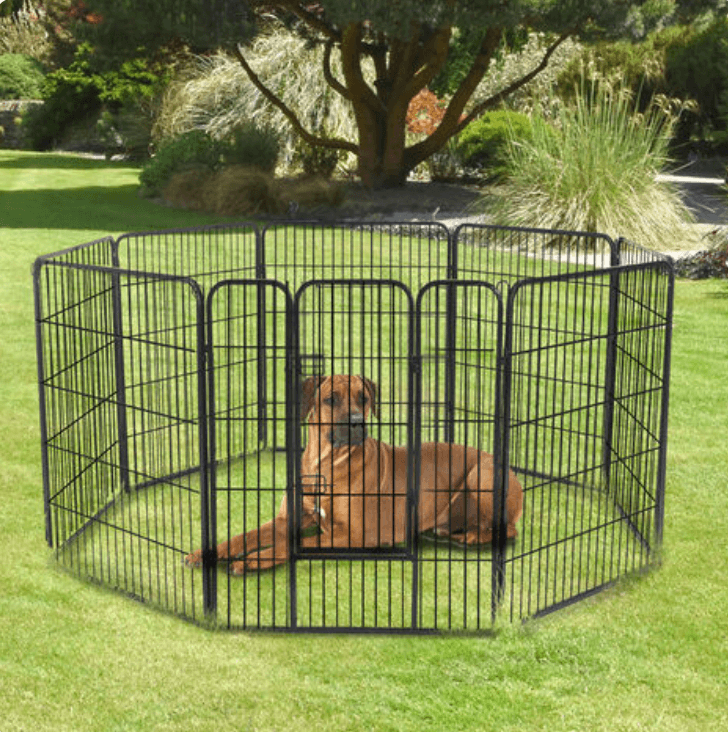 Pawhut Heavy Duty Play pen bearsupreme
