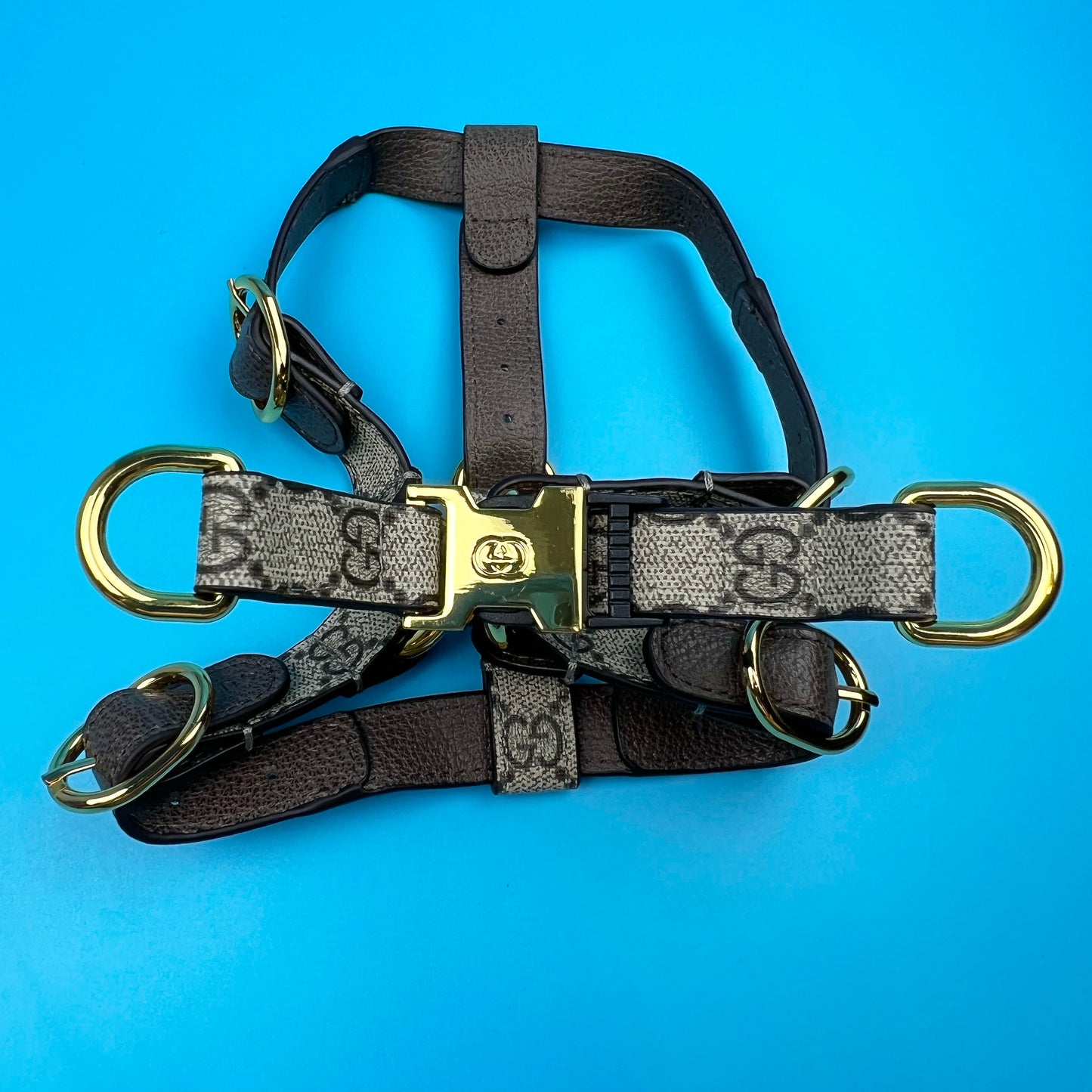Pawcci harness & Walking Set bearsupreme