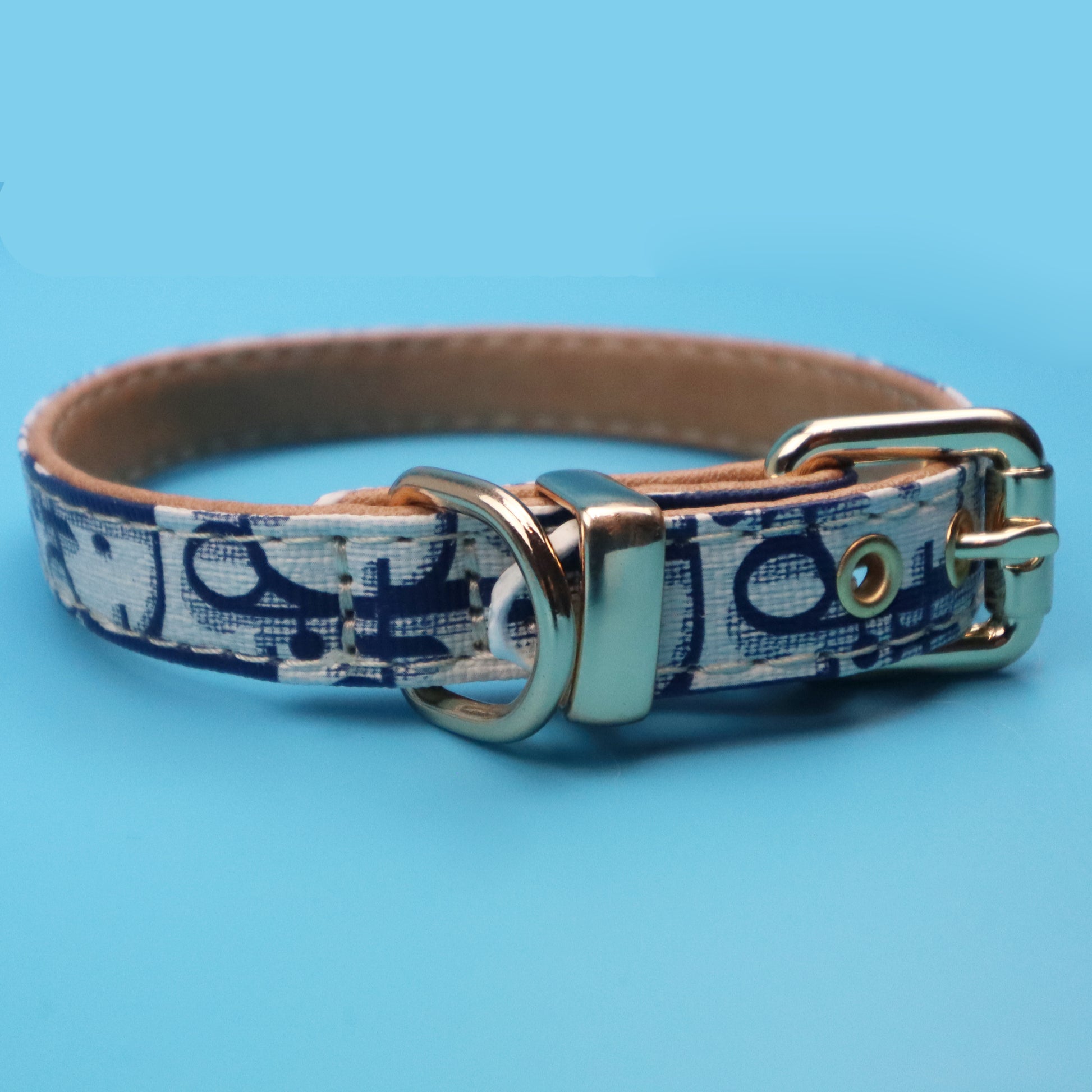 PawDior Dog Blue Collar & Lead Set bearsupreme