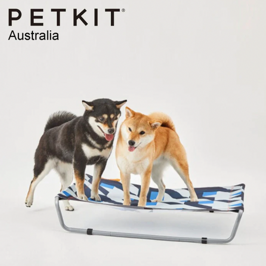 PETKIT Lifted Elevated Bed bearsupreme
