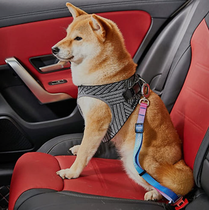 Pet Seatbelt bearsupreme